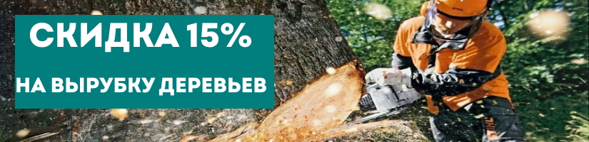 Акция: Скидка 15% на вырубку деревьев!