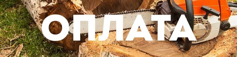 Оплата работы с деревьями Тамбов в 2025 году